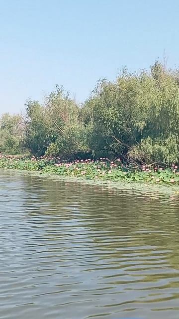 Астрахань