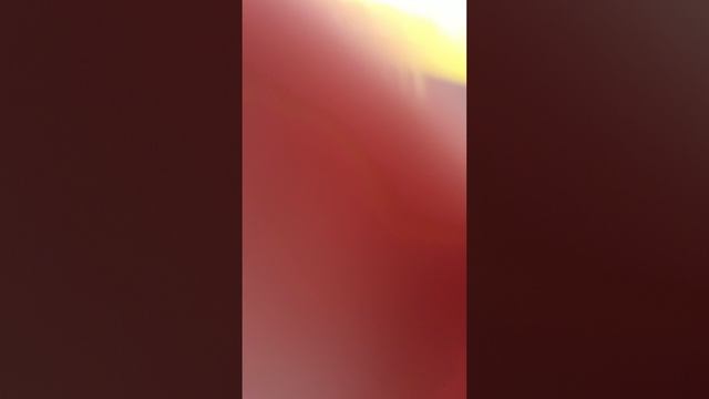 распаковка 1 ого игрового набора