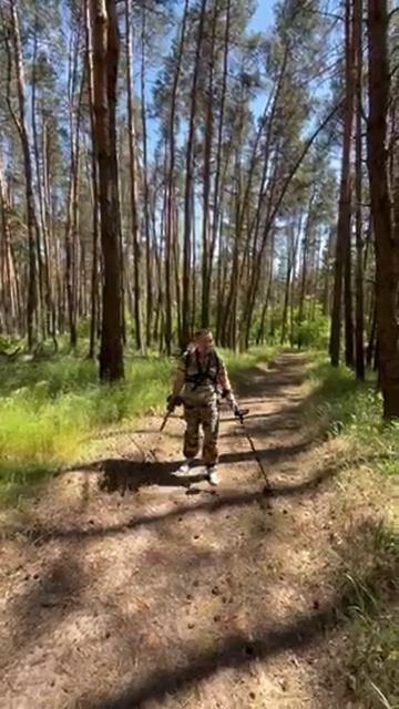 Это всё из-за него #shorts