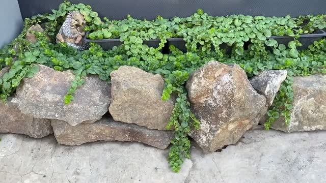 💚 МОТИВАЦИЯ на уборку, чистоту и красоту 💚  НАКОНЕЦ, засыпали погреб...