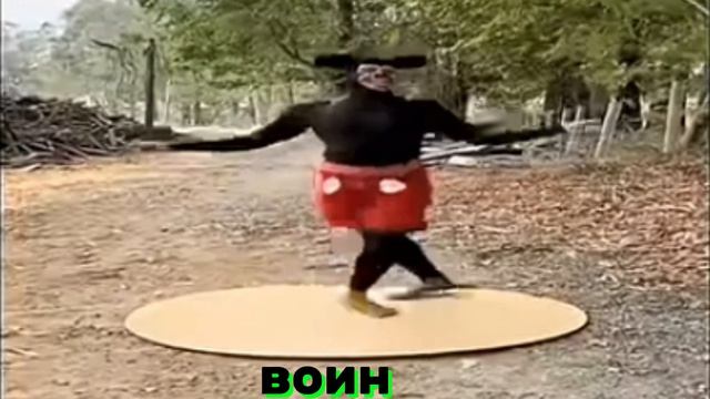 Эдит деревяшки