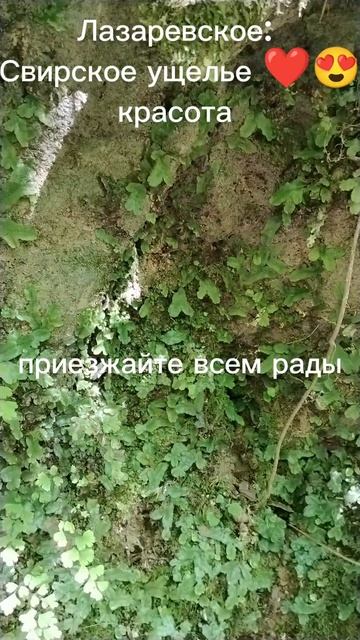 приезжайте к нам
