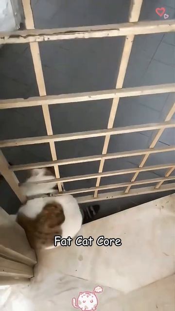Артём про