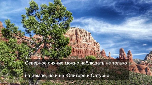 Великолепная роща 2