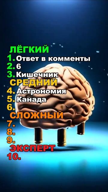 Тест викторина проверка знаний