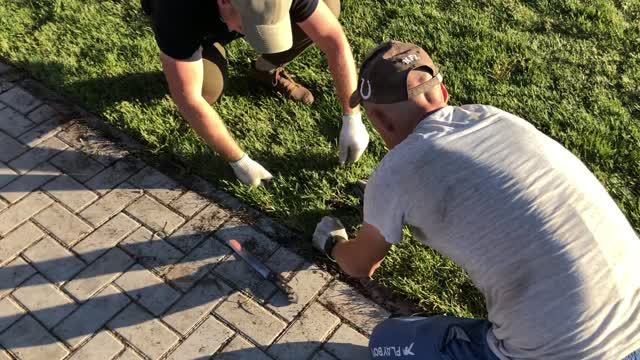 Газон. Рулонный газон. Укладка рулонного газона своими руками. Благоустройство участка.