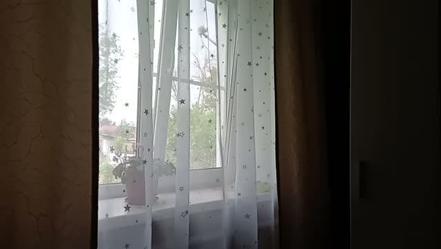 Мы каждый день живём в стрессе.