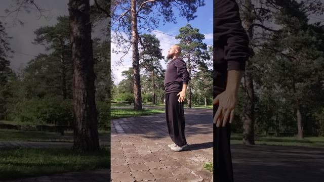 Джатри танец схема