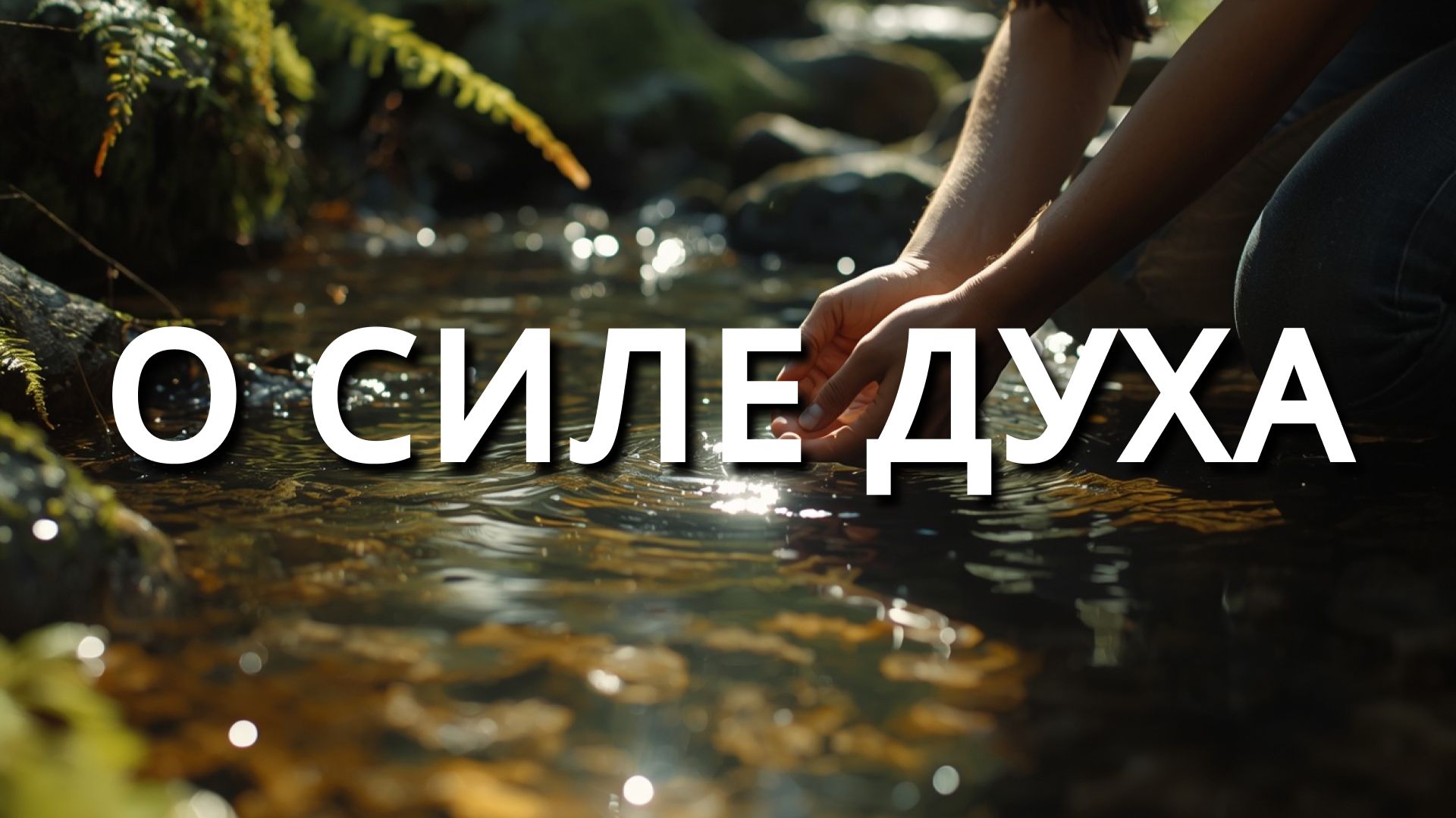 Лесной рассказ о силе духа и исцелении природой