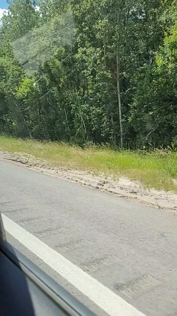 В магазин и на пункт выдачи.