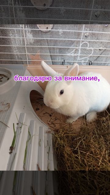 Я в Москве 🤟