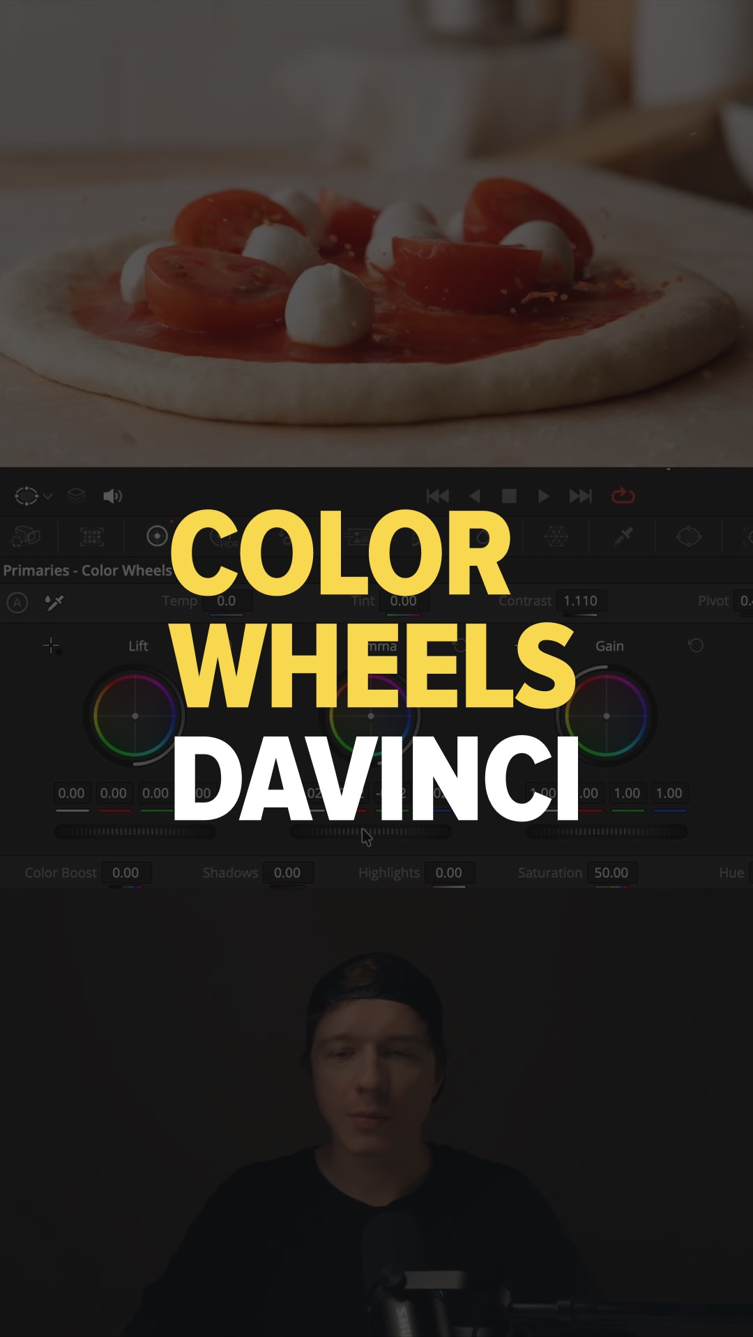 COLOR WHEELS DAVINCI