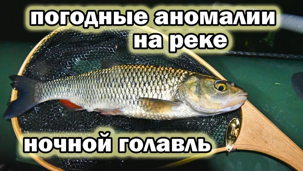 На реке в погодный апокалипсис