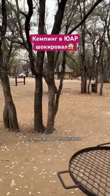 Кемпинг со всеми удобствами! Шок! Я к такому не была готова😁 Про автотрип по Африке в профиле