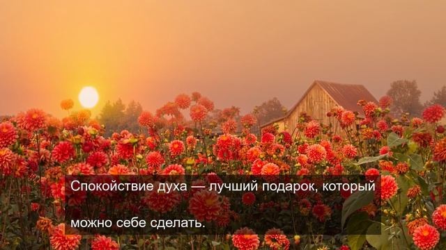 Не думал о доверии 1