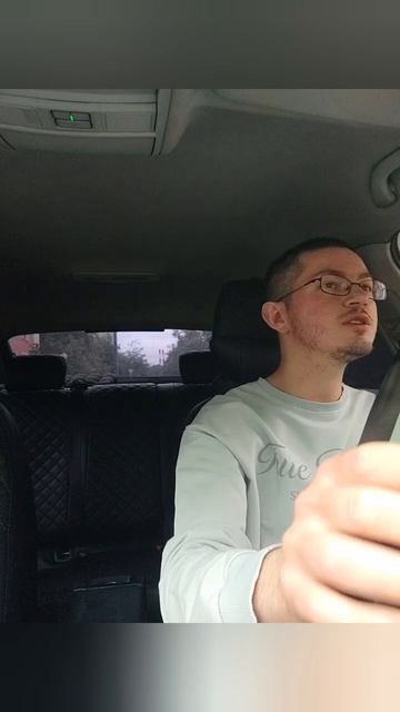 Два заказа подряд. Две одинаковые собаки и обе без переноски. И там и там всегда так ездят.
