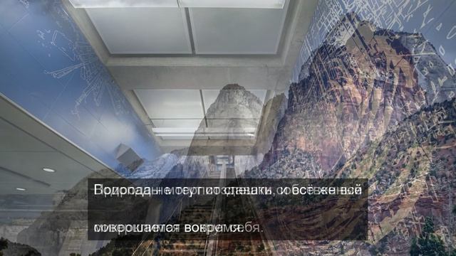 Отведи его обратно