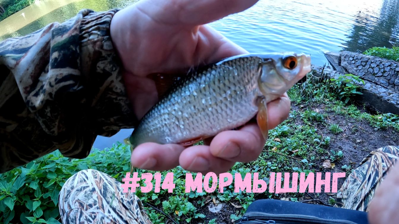 #314 Мормышинг  1 августа 2026