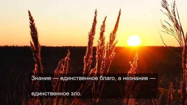 Не думал о доверии 3