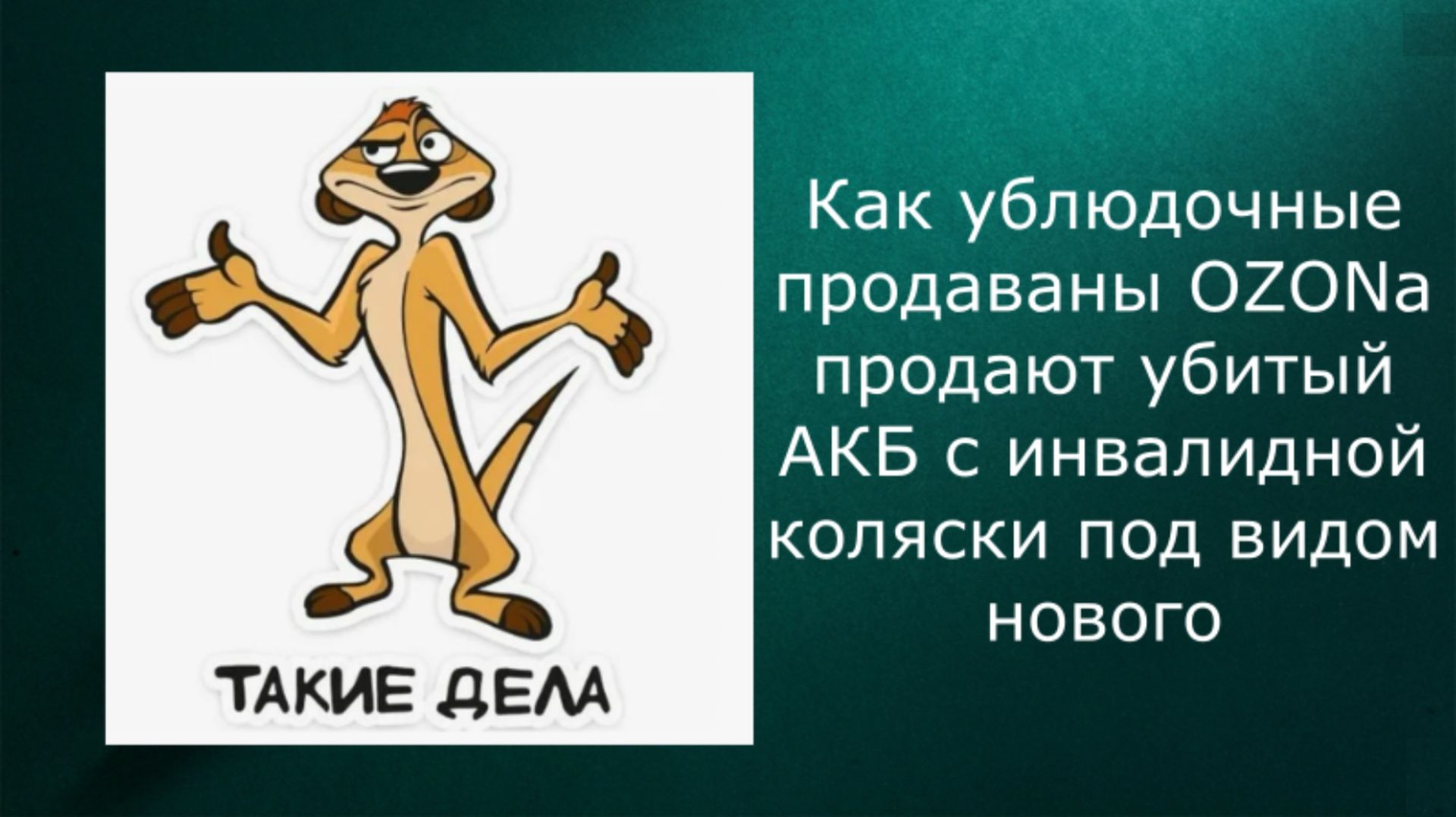 Как продаван с OZONа инвалиду втюхал дохлый АКБ с новой инвалидной коляской
