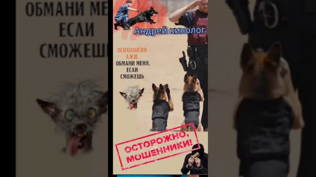 Убогие из 404
