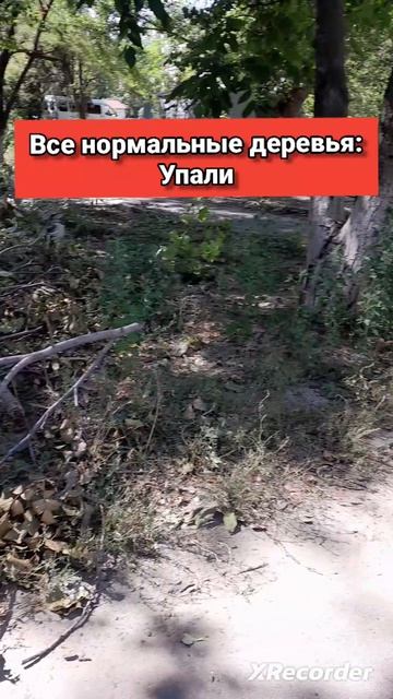 где логика???