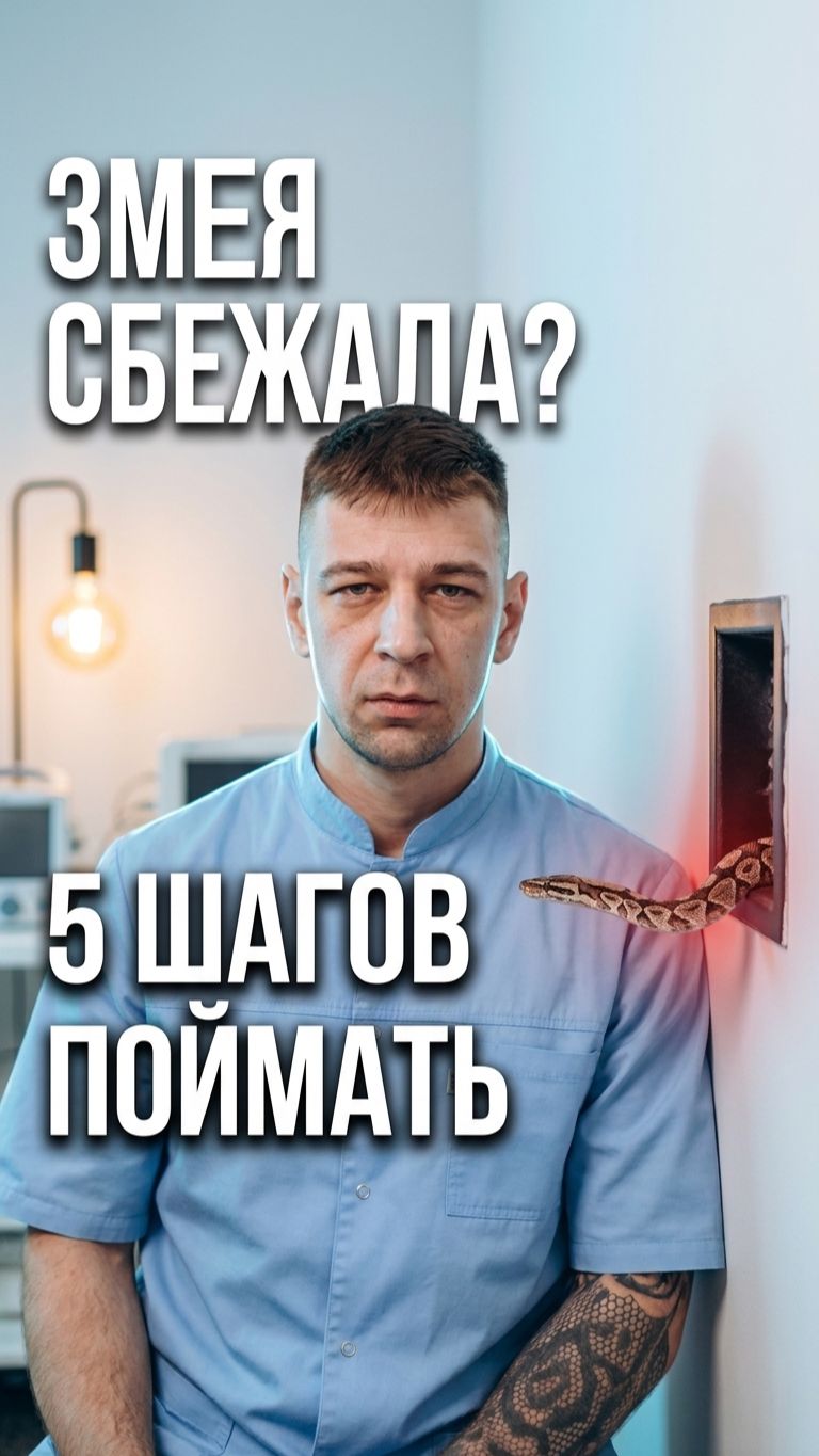 Ваша змея сбежала. Пока вы читаете — она ищёт вентиляцию. 5 шагов, чтобы поймать её первой 👇