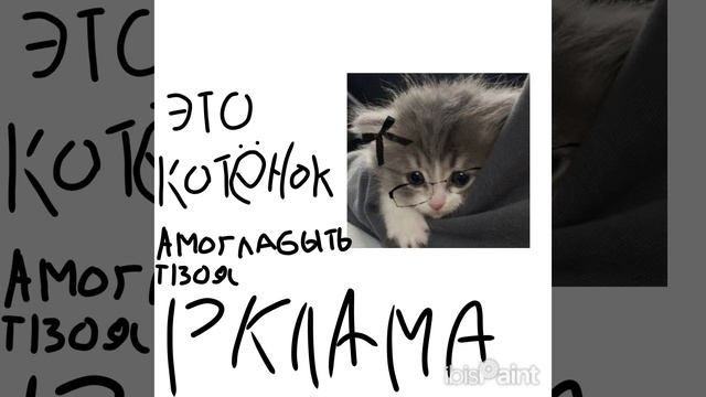 котëнок