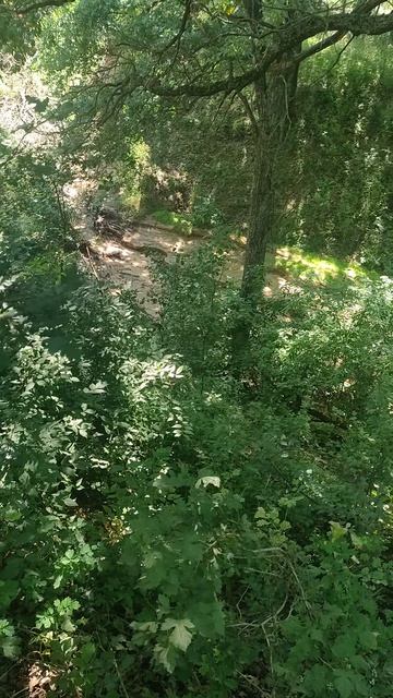 Скворечник  и ручей, мкр. Шилово, Воронеж ,02.08.202602.08.2026 года