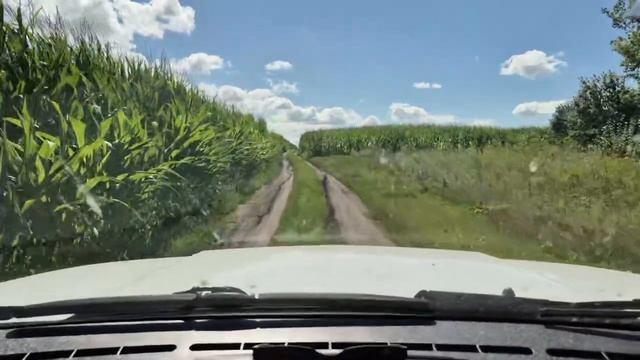 Видеомгновения с полей Мензелинска