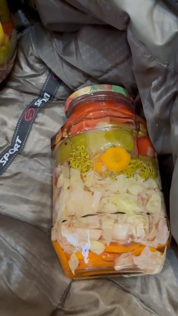 Секрет старой куртки. Дымка и ассорти
