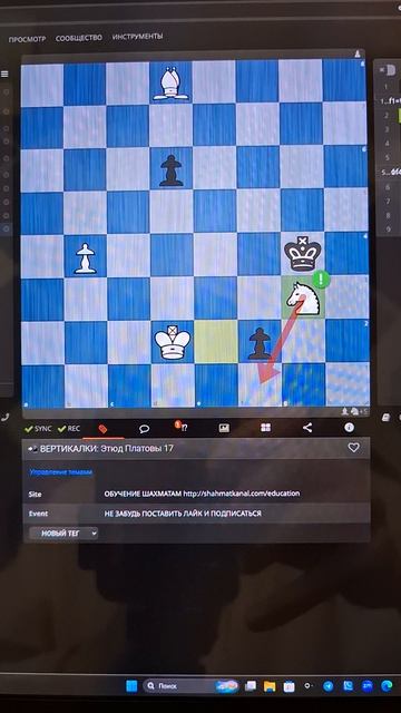 Чудное спасение и даже выигрыш в эндшпиле! Шахматная композиция