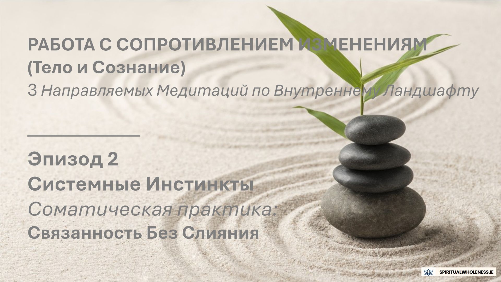 РАБОТА С СОПРОТИВЛЕНИЕМ ИЗМЕНЕНИЯМ (Тело и Сознание) | Эпизод 2 - Системные Инстинкты