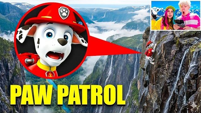 🛸 МОЙ ДРОН СНЯЛ ЩЕНЯЧИЙ ПАТРУЛЬ В РЕАЛЬНОЙ ЖИЗНИ!! 🐕🚨