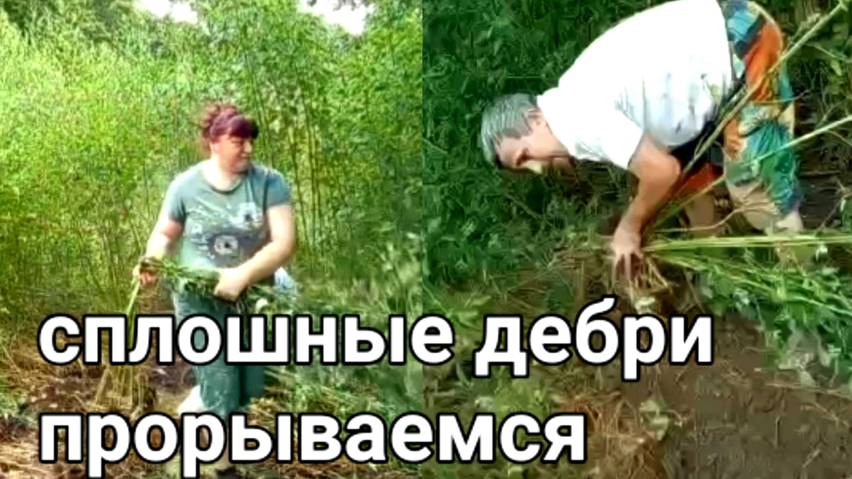 Что мне с НИМИ ДЕЛАТЬ //Расчищаем участок от БУРЬЯНА