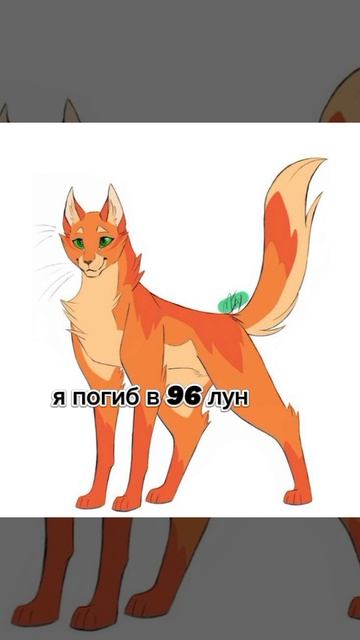 вот вам видео