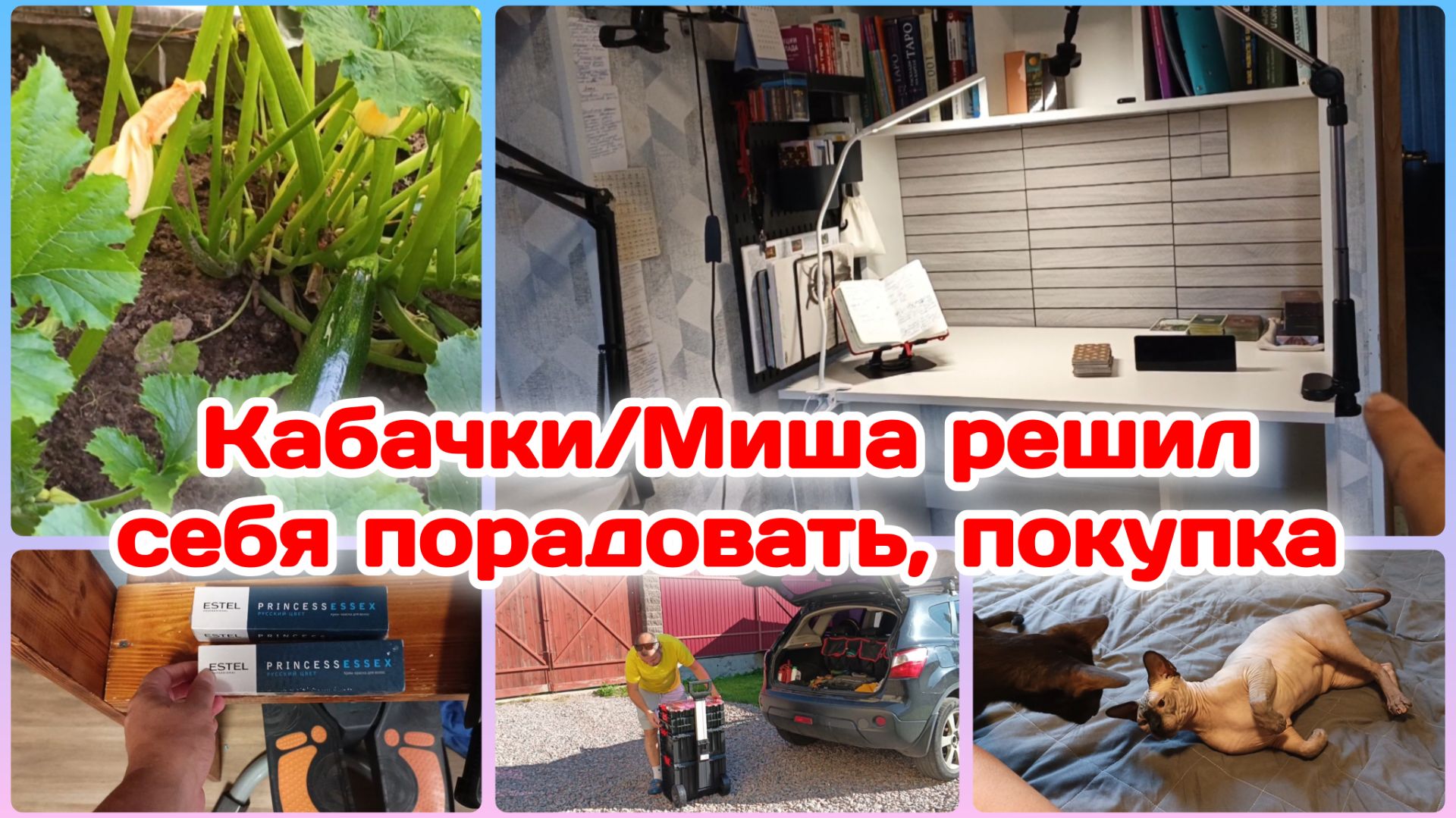КабачкиОбустроила стол с новыми покупкамиМиша очень хотел.Купил  Часть 1