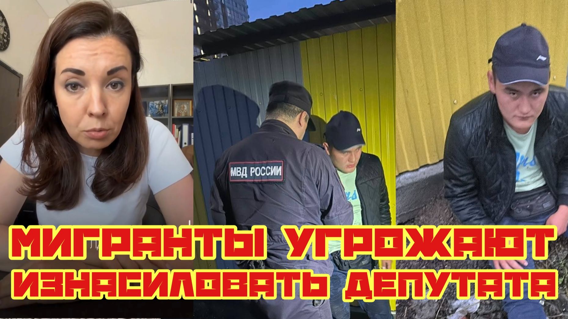 Мигранты угрожают изнасиловать депутата