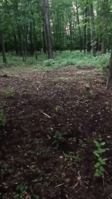 Кормим белок в парке юности 2 часть