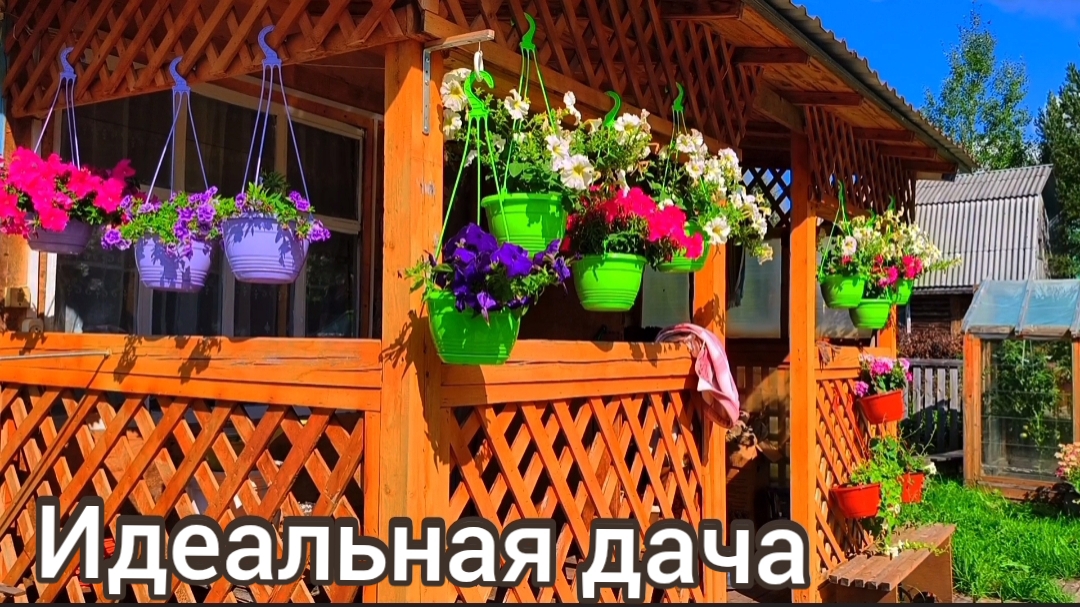 Дача моей сестружки !