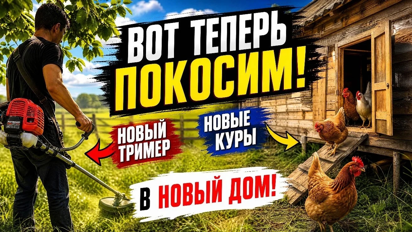 КУПИЛИ НОВЫЙ ТРИМЕР, СТРОИМ КУРЯТНИК, НАПОЛНЯЕМ ХУТОР ЖИЗНЬЮ