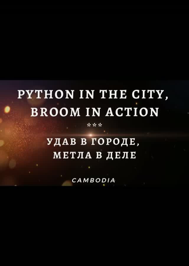 Удав в городе - метла в деле, Камбоджа, город Кампот / Python In The City - Broom In Action,Cambodia