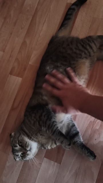 Пов.Жиз.Рил