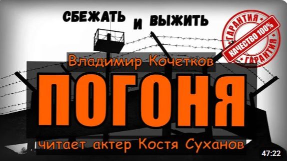 Аудиокнига. ПОГОНЯ. Таежный боевик. Приключения. Выживание. Триллер. читает актер Костя Суханов.