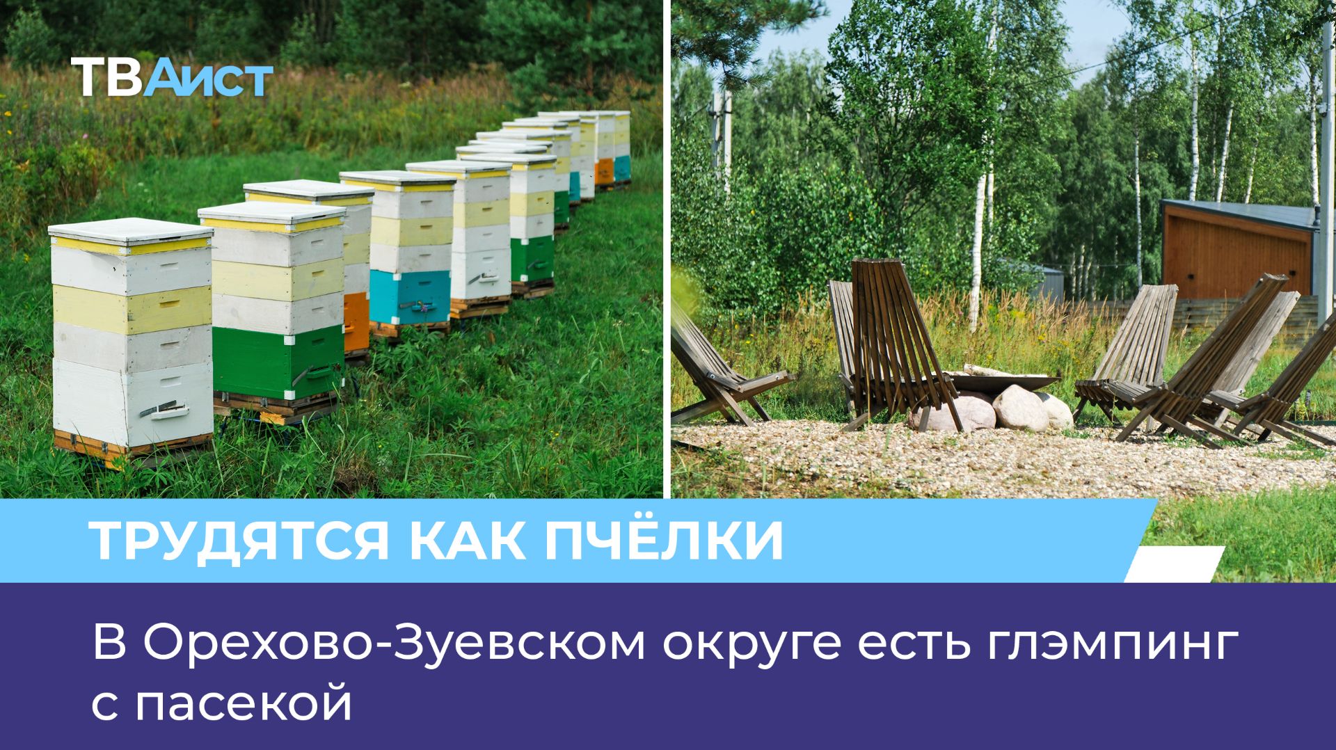 В Орехово-Зуевском округе есть глэмпинг с пасекой