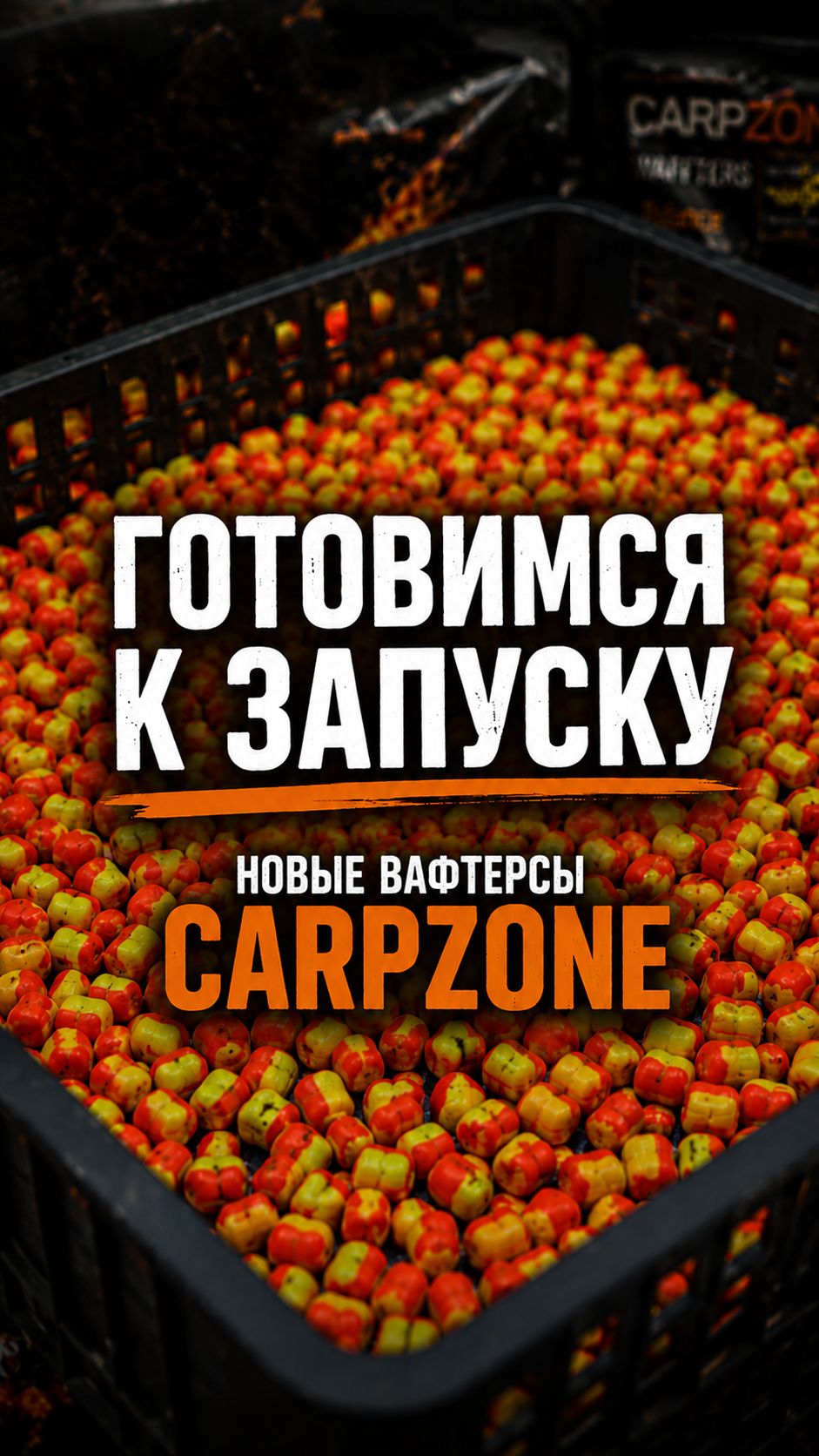 Готовимся к запуску! Новые вафтерсы CARPZONE.