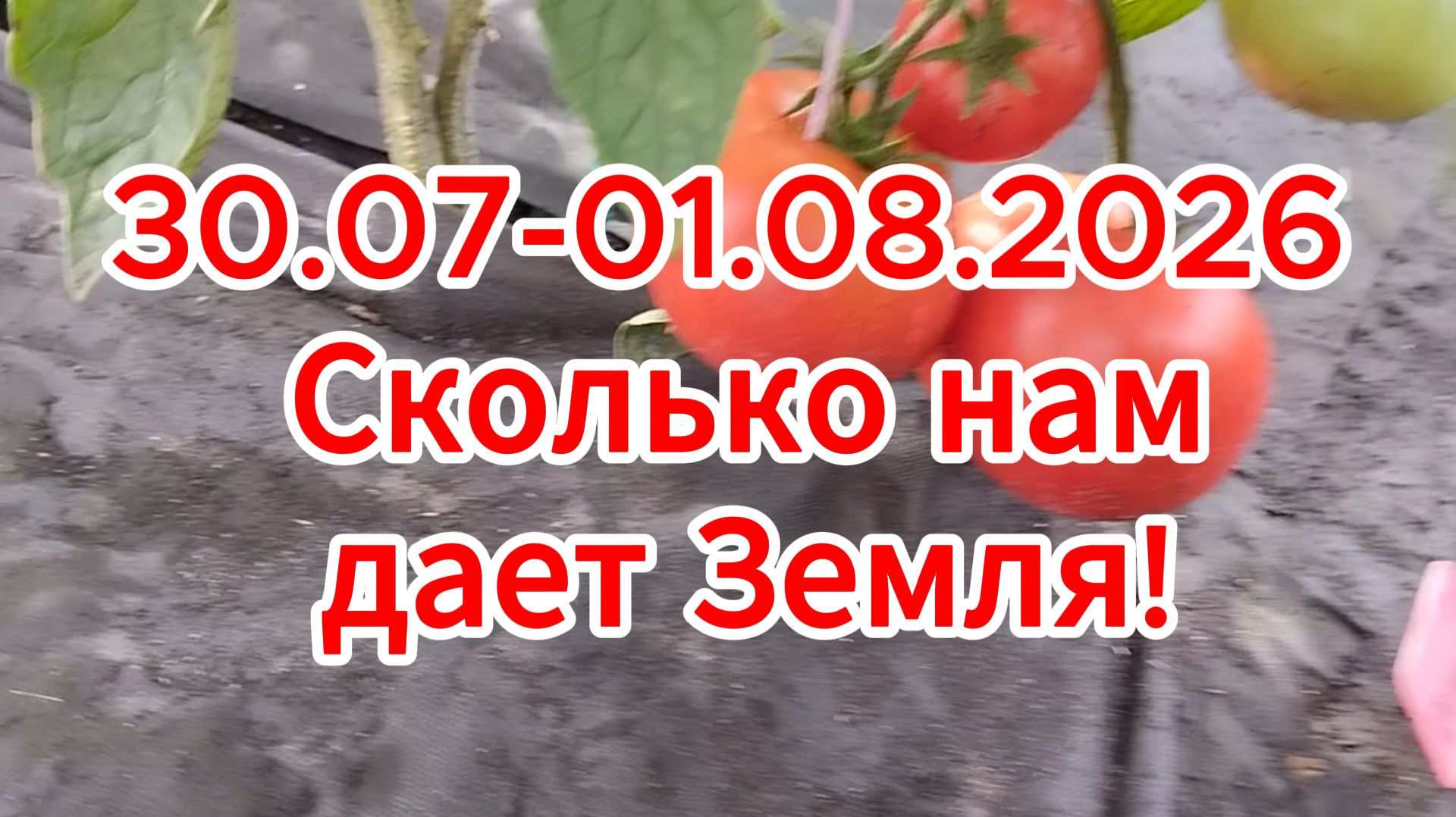 30.07-01.08.2026 Сколько нам дает Земля!