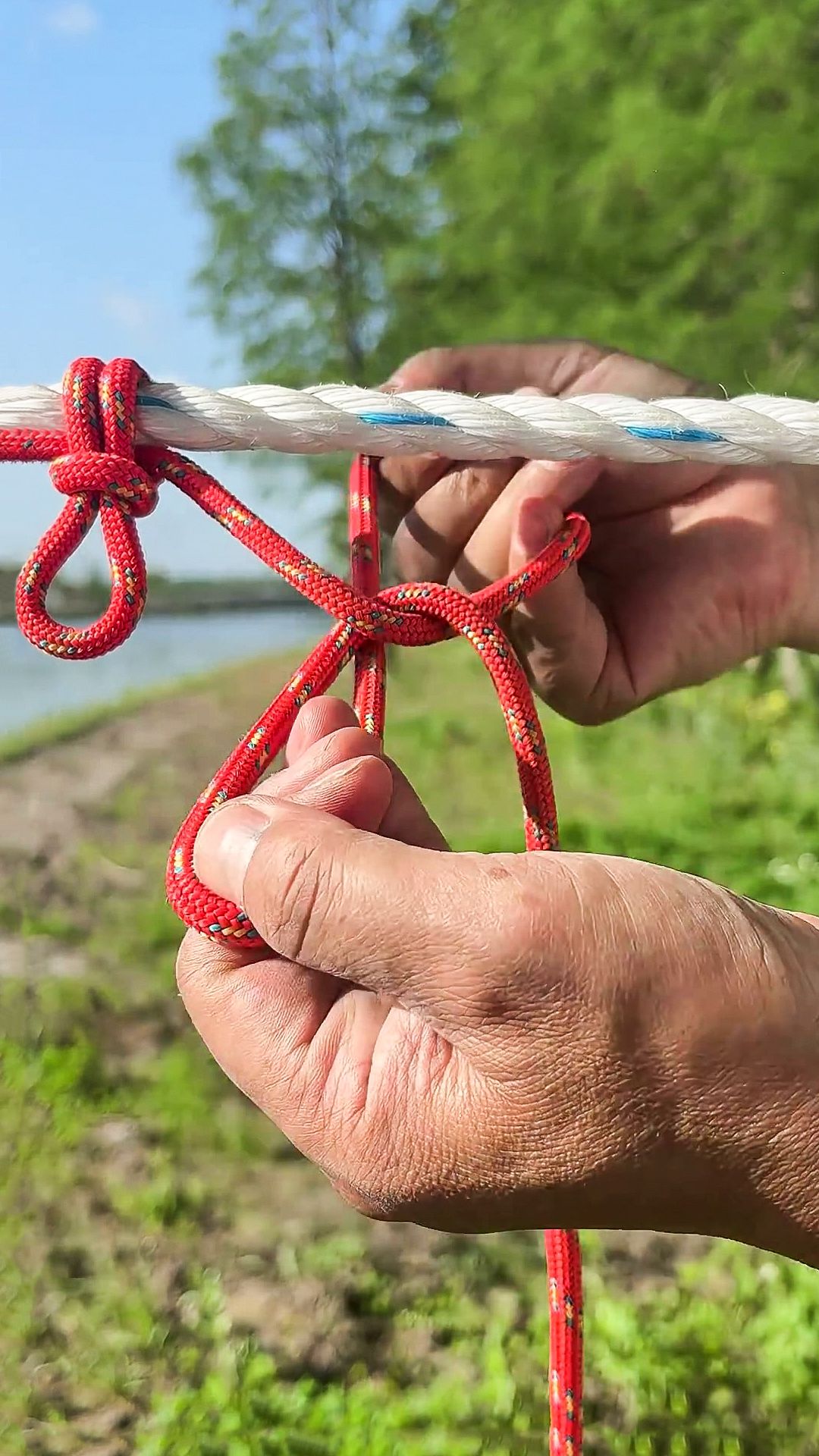 I Trust This Clothesline Knot – So Strong And Reliable!