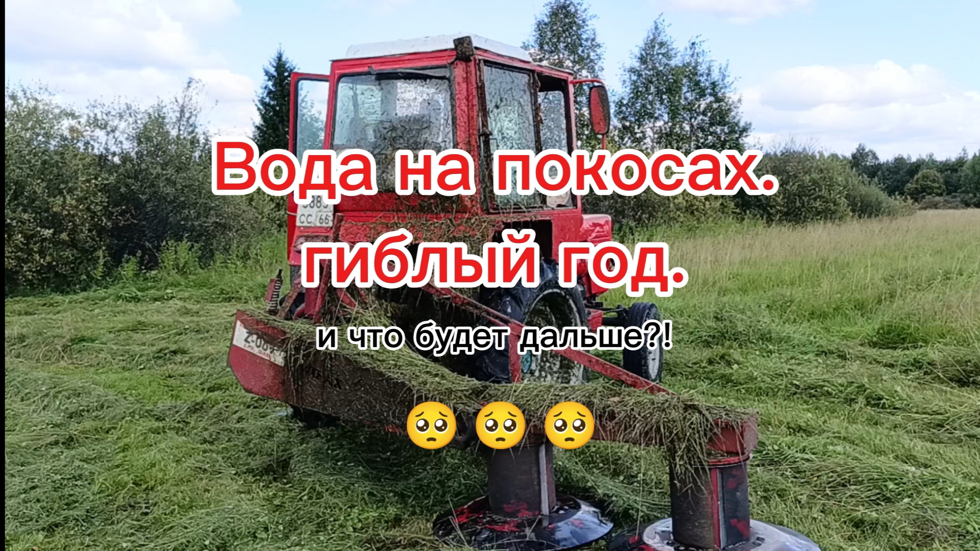 и как жить дальше?