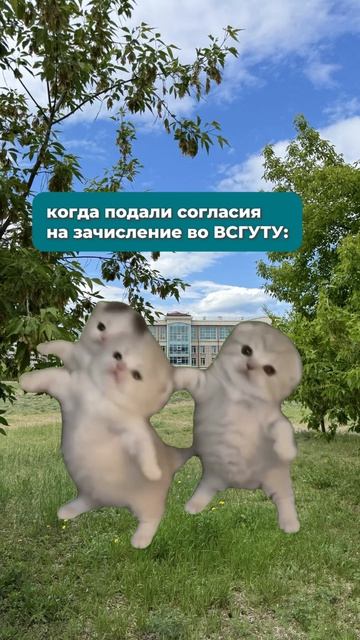 Заканчивается приём согласий на зачисление на бюджет по программам бакалавриата и специалитета